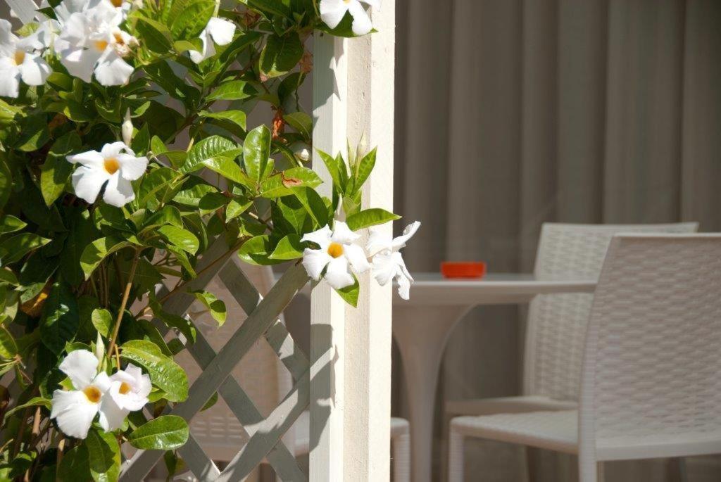 Il Marlo Suite & Breakfast Marina Di Carrara Εξωτερικό φωτογραφία