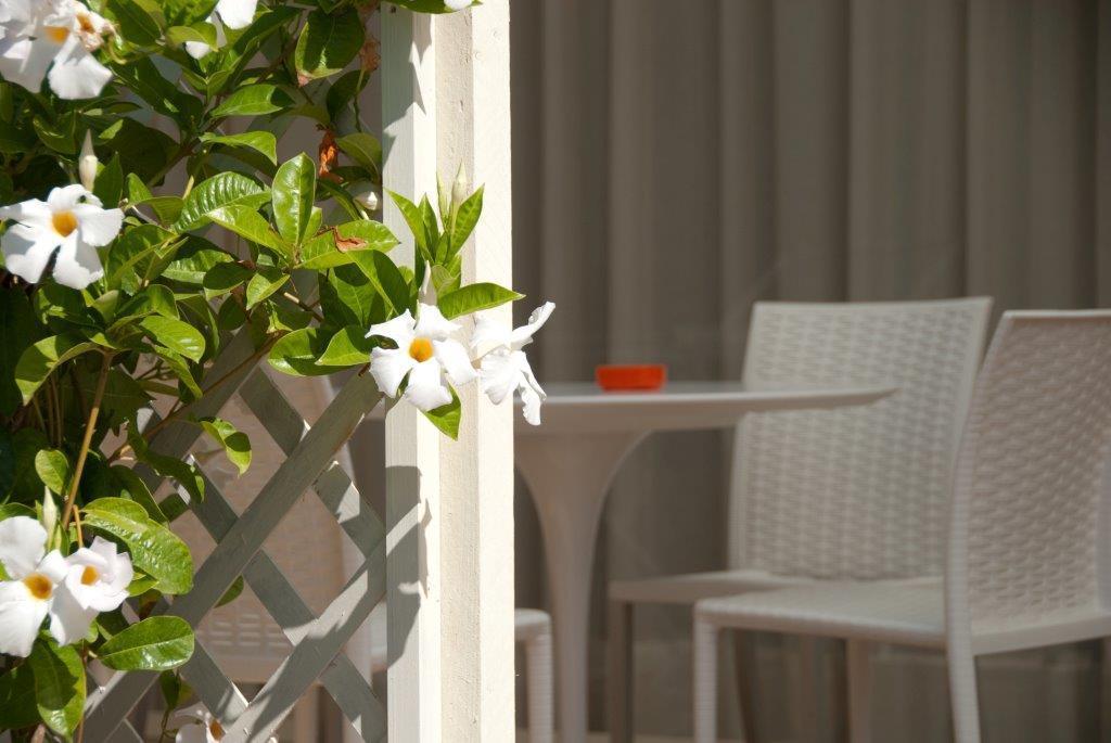 Il Marlo Suite & Breakfast Marina Di Carrara Εξωτερικό φωτογραφία